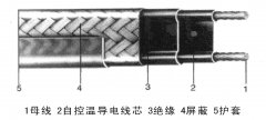 伴熱帶