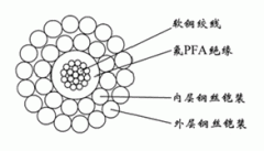 WGSPFA-5.60mm單芯氟塑料PFA絕緣雙鋼絲鎧裝承荷探測(cè)電纜