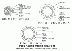 KYJV，KYJVP，KYJV22額定電壓0.6/1kV交聯(lián)聚乙烯絕緣控制電纜